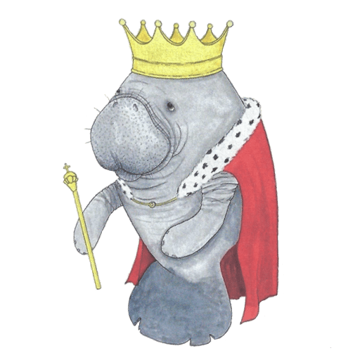 Mit Seekühen Schwimmen