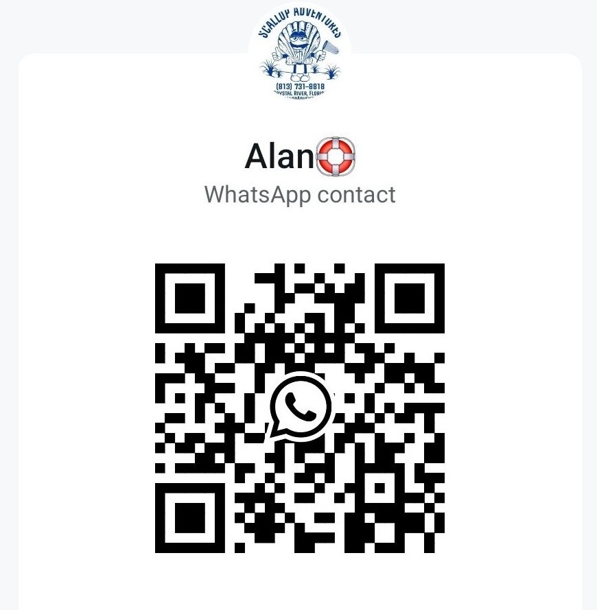 whats app qr code